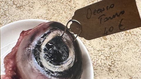 Ticchi llama la atenci�n por las recetas que tiene de los ojos de los pescados, especialmente dle at�n rojo