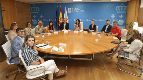 Reuni�n de t�cnicos del Ayuntamiento y de la Xunta a la que asistieron los conselleiros de Sanidade y Vivenda (en el centro).