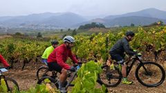 Ruta BTT del Vio de Valdeorras