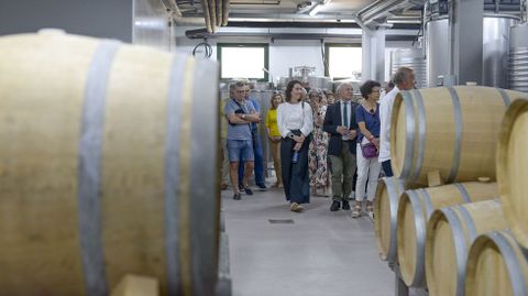 Zona de la bodega con barricas destinadas a los vinos de crianza