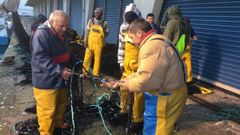 Descarga de un barco del cerco en la lonja de A Coru�a