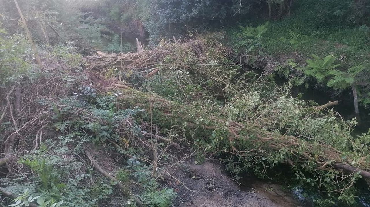 Instan a retirar troncos y maleza del rego de Roxos en Vilastrexe por temor a inundaciones de viviendas