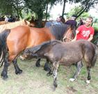 La feria de San Bartolo cuenta cada a�o con mucha participaci�n. 