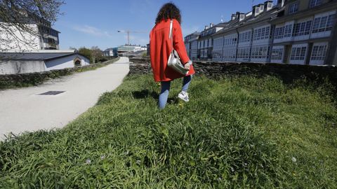 La hierba campa a sus anchas por la Muralla de Lugo 