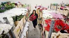 La compa��a distribuye a mayoristas de toda Espa�a y Portugal