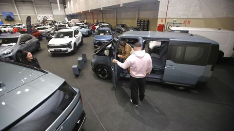 H�bridos, familiares y deportivos compon�an la selecci�n.