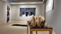 La exposicin puede verse en el campus universitario de Ourense