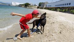 Playa canina de O Castelete, en Vilagarc�a.