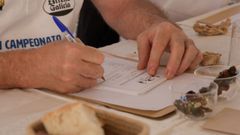 II Campeonato Mundial del Percebe de Cedeira