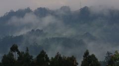Niebla en una parroquia del municipio de Ourol