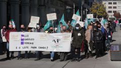 El Sindicato Labrego Galego convoc� la protesta en Lugo. 