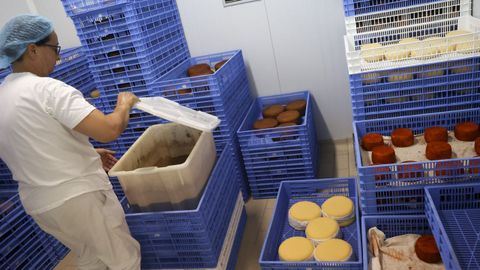 La fábrica de quesos, que se creó en 2005 y se amplió en 2019, es la principal fuente de ingresos de la sociedad