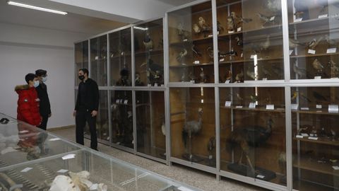 Entre las colecciones que existen en el seminario menor, destaca la de historia animal