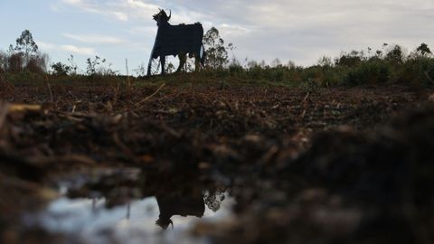 El toro de Osborne de Coir�s, decapitado por el viento. 