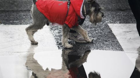 Lluvia en A Coru�a