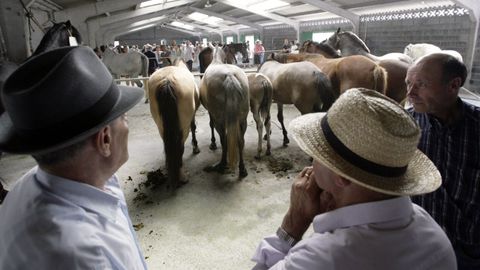 La feria tiene una parte de compraventa que se completa con actividades l&uacute;dicas y con competiciones