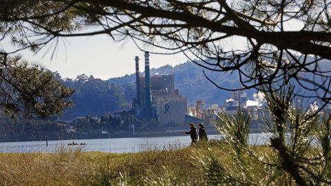 En unas horas se reunir� la sala del Supremo para decidir sobre la nulidad de la pr�rroga y el futuro de Ence en la r�a de Pontevedra