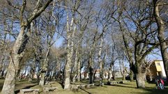 Devesa de Escair�n, en cuyas proximidades se sit�a la anitgua casa sindical