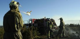 Medio Rural cifr� en veinte las hect�reas calcinadas en las primeras estimaciones realizadas en un incendio que se acerc� a las casas. 