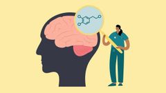 La dopamina est� involucrada en la regulaci�n del estado de �nimo, en la motivaci�n y en el control motor. 