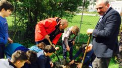 Plantaci�n en el Colexio da Ponte de Lugo