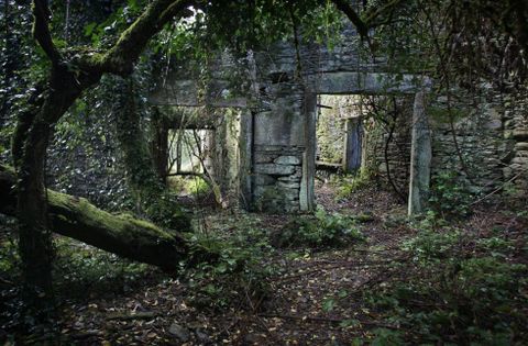 Imagen de la aldea de San Benito de Grobas, en O Cand�n que lleva a�os abandonada. 