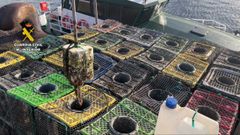Nasas decomisadas para la pesca ilegal de pulpo en el puerto de El Musel en Gij�n.
