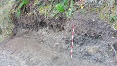 Sector de la limpieza estratigrfica una vez terminados los trabajos