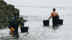Mariscadoras recogiendo ostra japonesa en la r�a de O Barqueiro