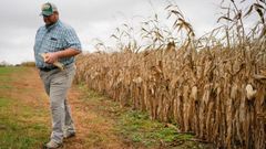 La Am�rica rural, que aporta el grueso de los seguidores de Donald Trump, necesita a los jornaleros inmigrantes