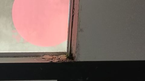 Imagen de parte de la cubierta del Museo de Man de Camelle.