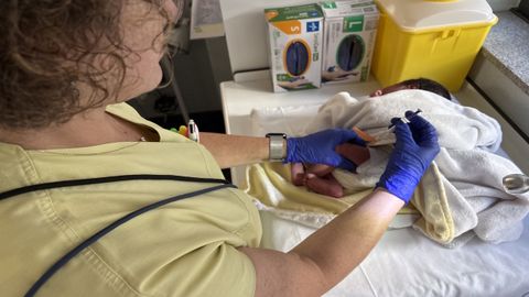 Una enfermera vacuna este lunes a un beb� contra el virus respiratorio sincitial