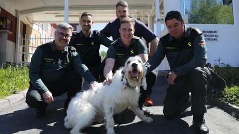 Pist&oacute;n, tras recuperarse de sus lesiones y acompa&ntilde;ado por los agentes de la Guardia Civil que lo rescataron, en el cuartel de O Carballi&ntilde;o