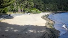 CHEQUEO AL ESTADO DE LAS PLAYAS DE BARBANZA.Playa de Bro�a, en Outes