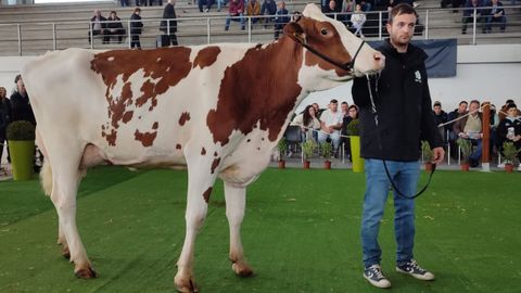 Cundins Amapola Unstopabull el pasado fin de semana en Santa Comba