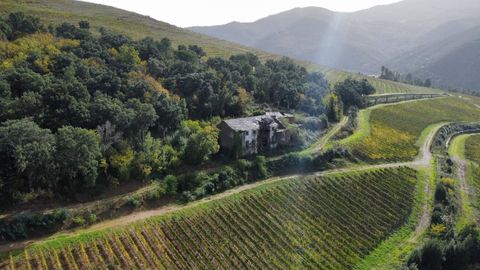 Una vista aérea de la Casa de Outeiro, junto a los viñedos pertenecientes a la bodega del mismo nombre