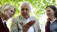 El naturalista Sir David Attenborough contempla un insecto junto a unas escolares.