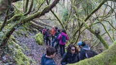 Participantes en un recorrido guiado por el bosque madro�os de Vilamar�n el pasado d�a 4