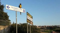 El loro espera a su amigo Scarponi en el lugar del fallecimiento