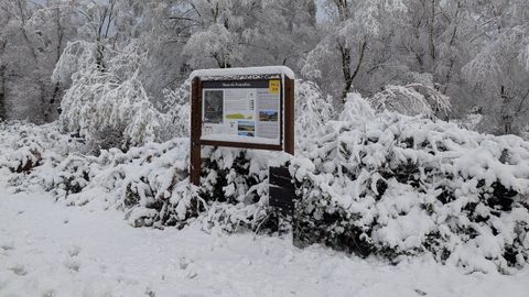 Nevada del pasado 21 de diciembre en el alto de Fontefr�a en A Ca�iza