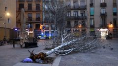 Un �rbol ca�do en el centro de Barcelona a causa del viento