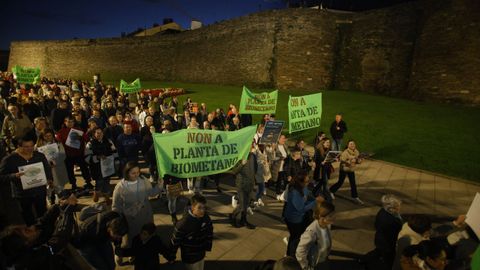 Manifestacin en Lugo contra la planta de Coeses