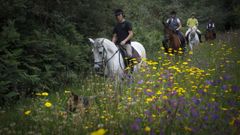 Zona de Crendes, en Abegondo