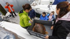 Cemma libera una tortuga en Teis