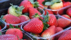 Imagen de archivo de tarrinas de fresa