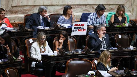 La diputada Romina del Pla con el lema contra las leyes de Milei, en el debate en el Congreso.