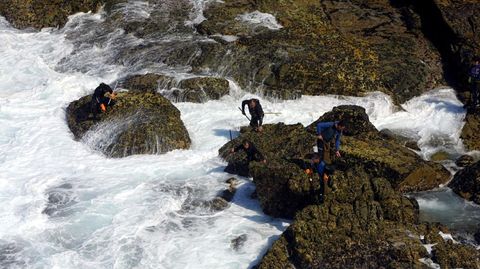 Percebeiros en la isla de Ons, en una imagen de archivo