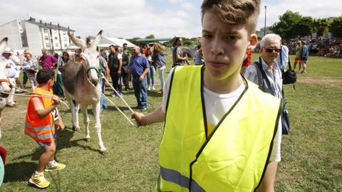 La carrera de burros de Escairón alcanzaba este año su edición número 65
