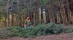 Actuaci�n en Coristanco