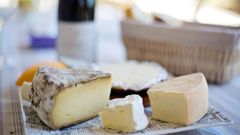 Una muestra de quesos